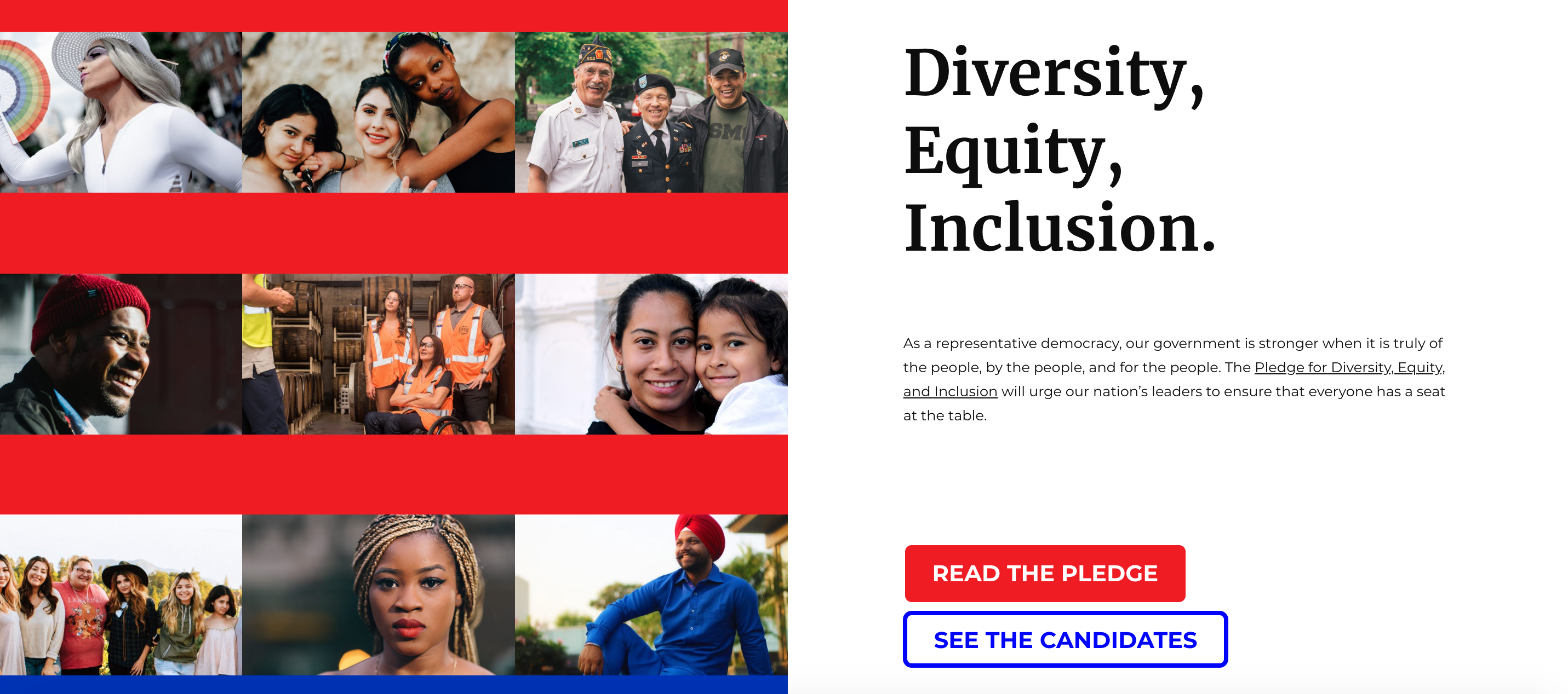 Pledge For Diversity Webpage